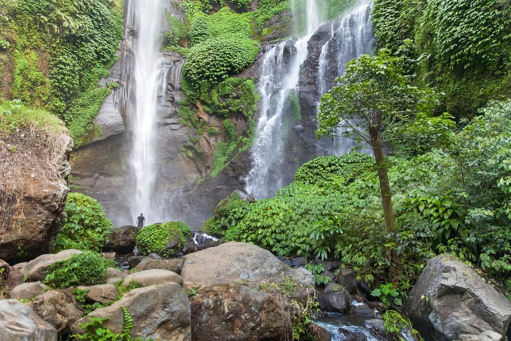 Waterfall in Bali (nominated on Jan 29)