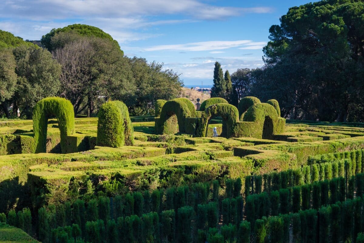 A maze with cypresses for people inside a romantic garden