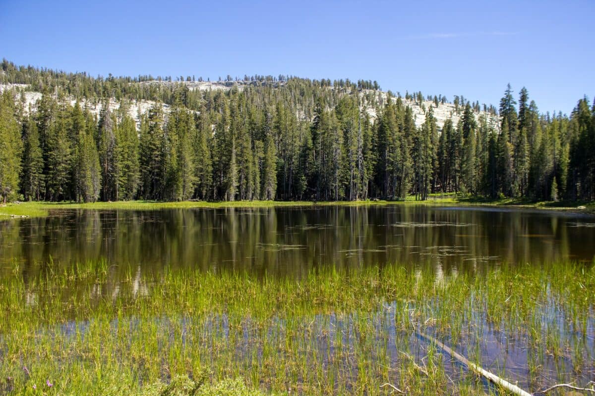 Beautiful shot of Tuolumne Meadows in Yosemite National Park, California