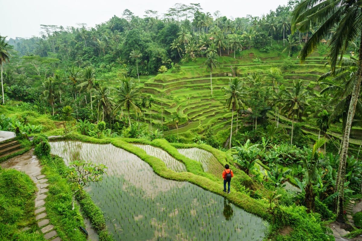 Bali Solo Travel