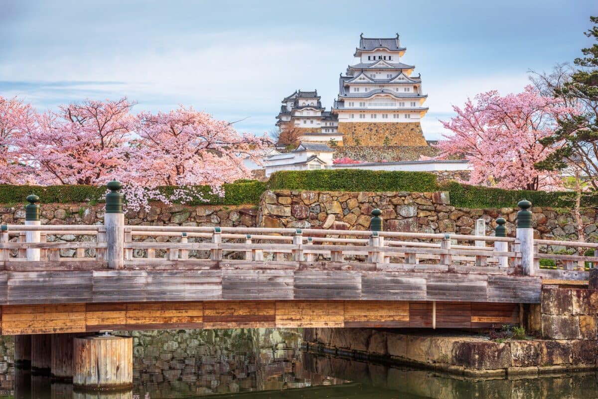 Himeji, Japan at Himeji Castle during Spring Cherry Blossom Season