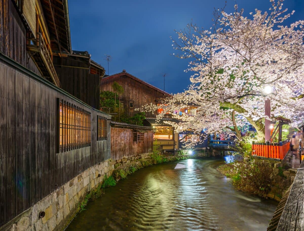 Kyoto, Japan during Cherry Blossom Season