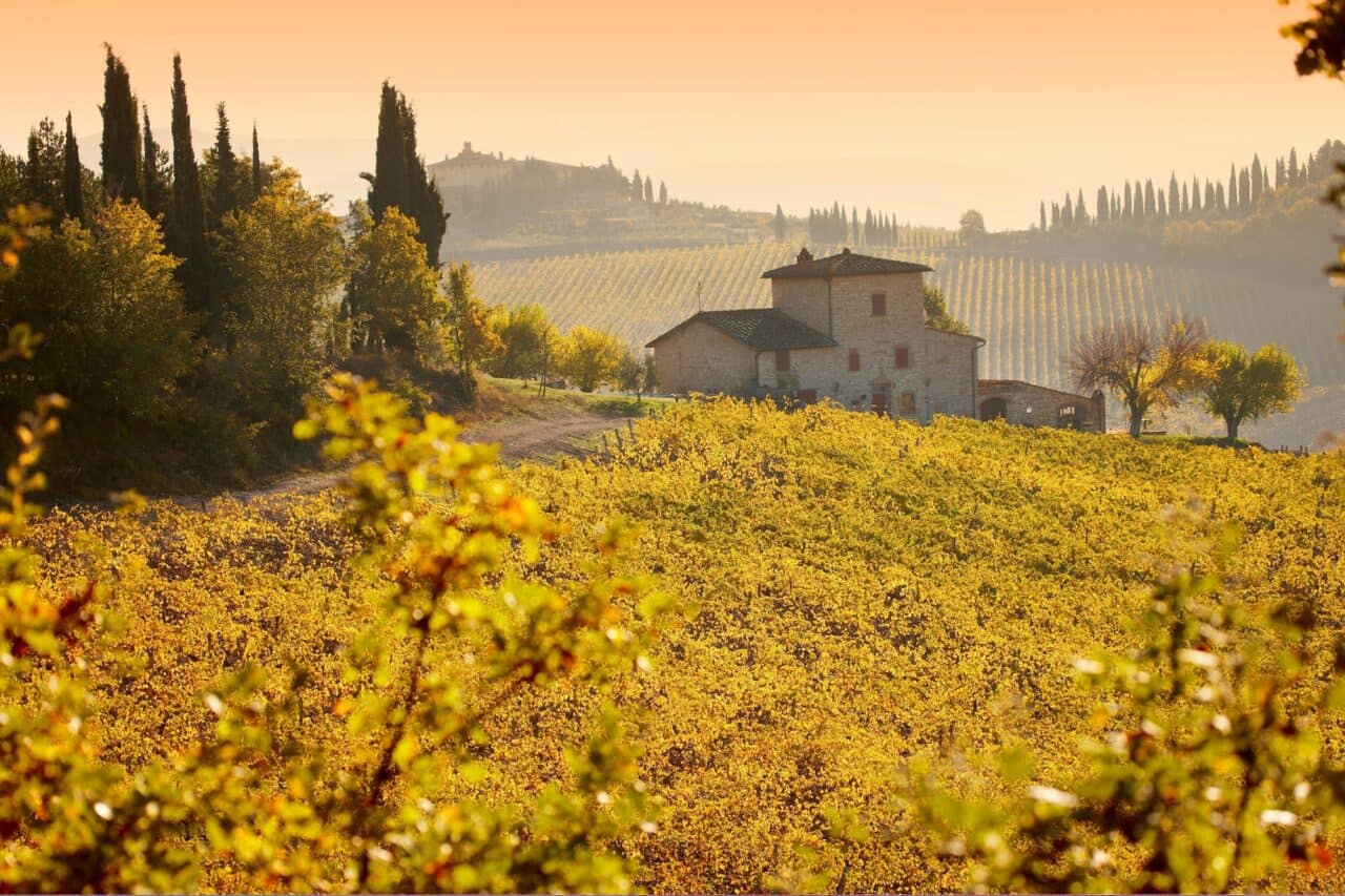 Chianti classico vineyards in autumn