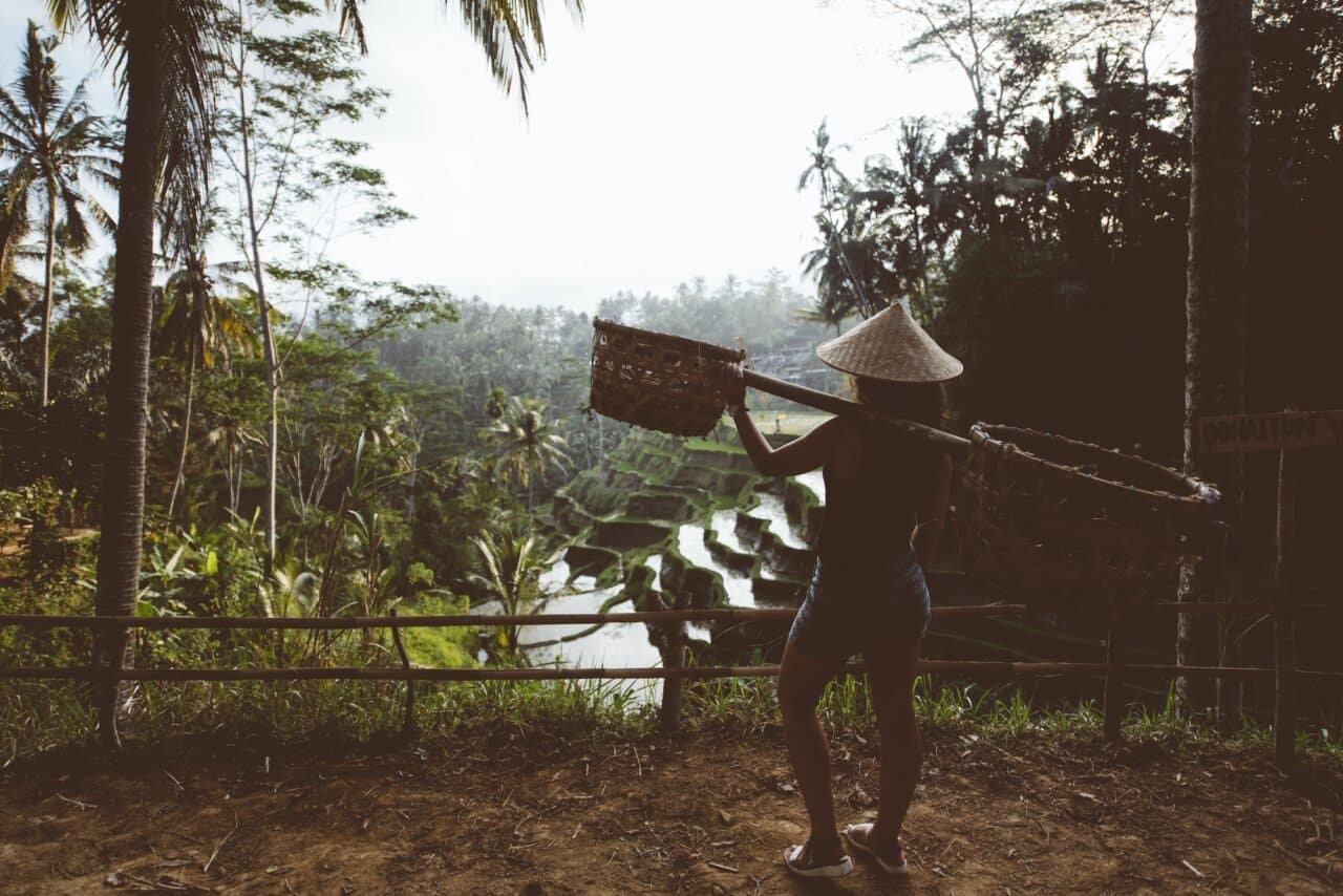 Bali Hidden Gems - Rice terraces in Ubud Village, Bali, Indonesia.