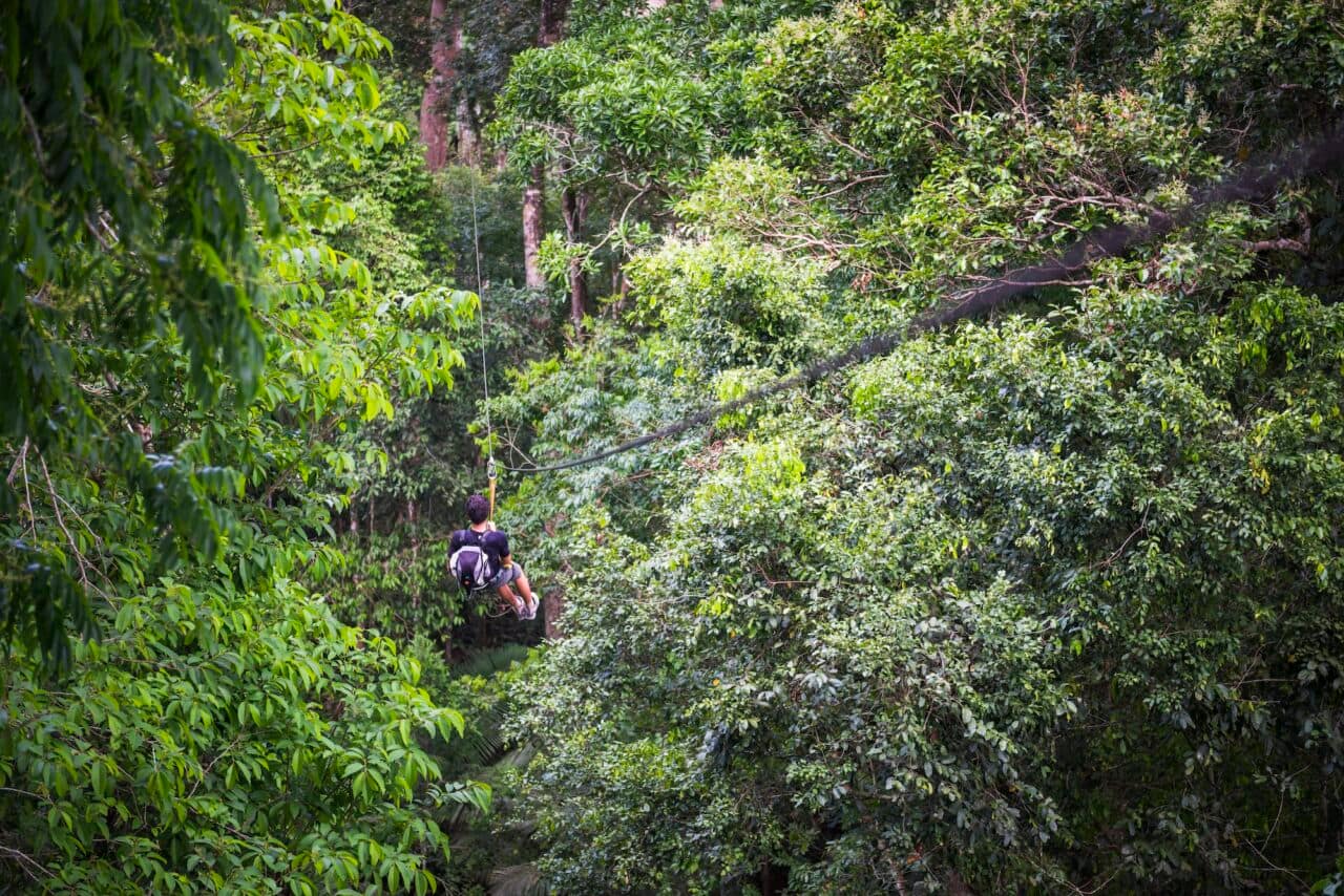 Zip lining on a zip line in Amazon Jungle of Peru on an adventure and adrenaline holiday vacation to